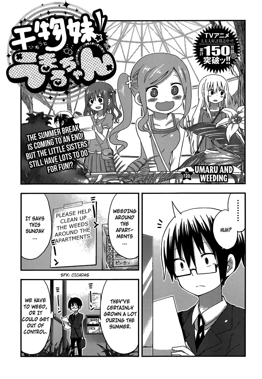 Himouto! Umaru-chan Chapter 120 2